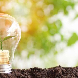 Negócios com Marketing Verde