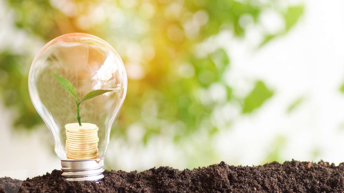 Negócios com Marketing Verde