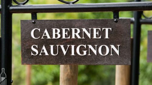 Dia Internacional da Cabernet Sauvignon