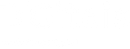 light logo